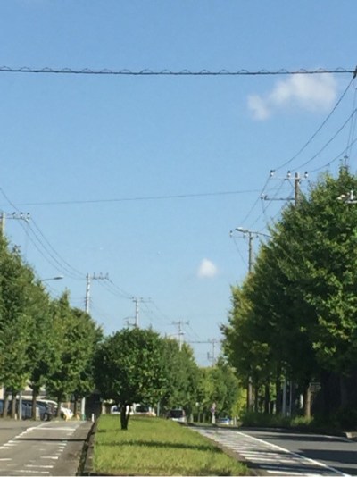 {7E079ECD-F258-4E8C-868E-A904C3AC407E:01}