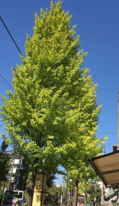 {93A0B771-6ACB-4AAB-93D6-CBBC4EF6DFBC:01}