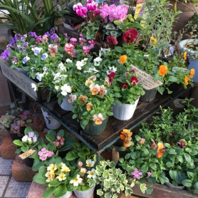 {6D76A0A4-3FDD-46EF-B852-047371B598DB:01}