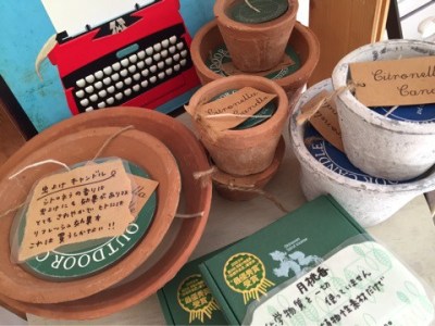 {10EB24E7-8C2D-4B15-9648-BC521EE84D6F}