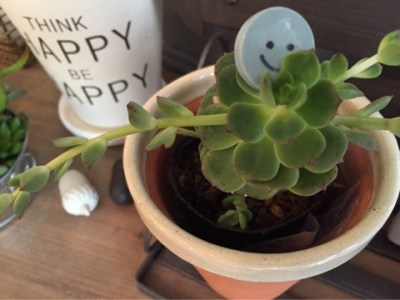 {460CE795-D612-4D23-9A54-8F6B30F9F012}