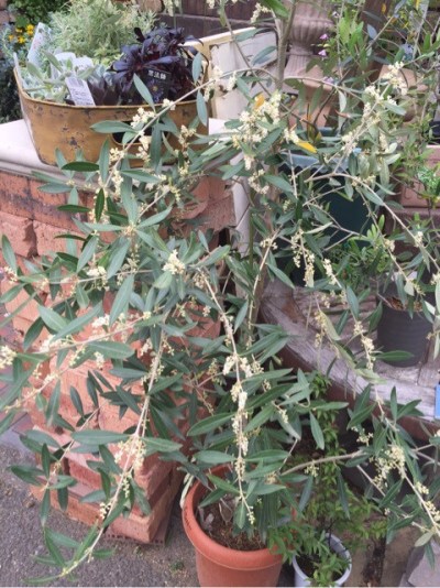 {BC7A9094-816C-4609-9999-087B157B4CCA}