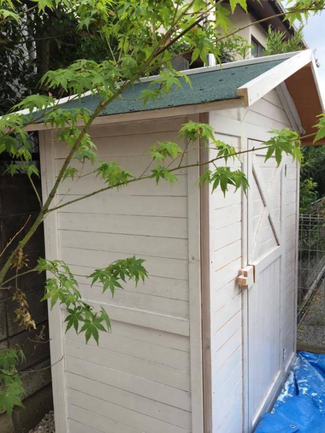 18579095_819153421574781_1659554021_n